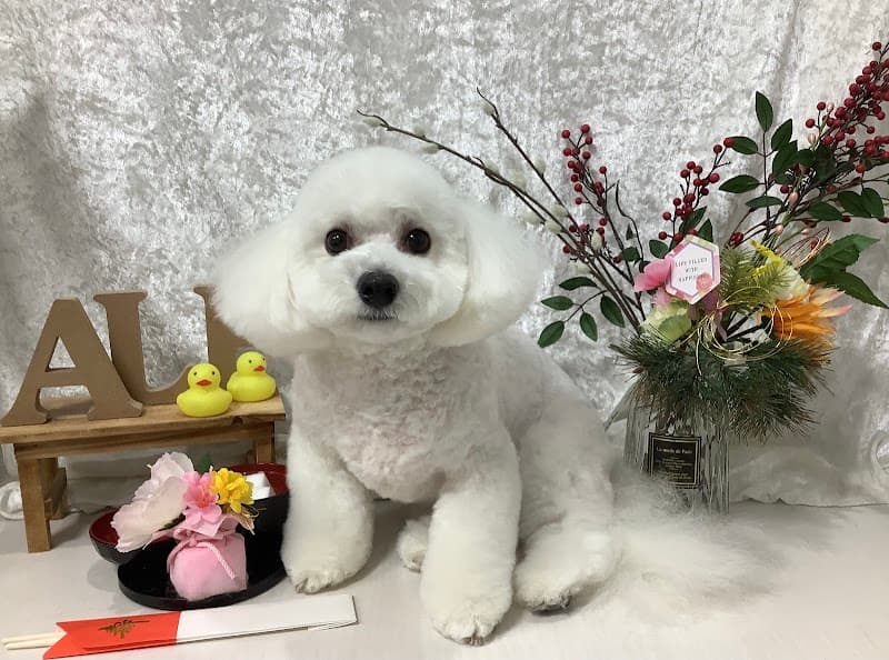 アルフベッツ クリニック&サロンの写真2