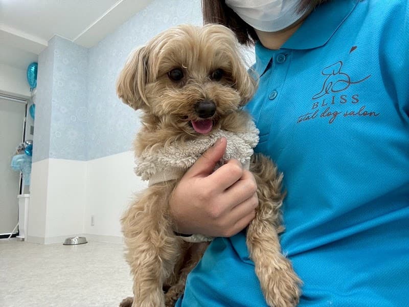 犬の総合施設BLISS total dog salon玉造駅前店の写真