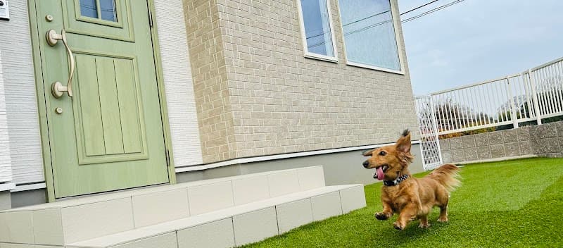 Pet Salon & Hotel YUURIの写真