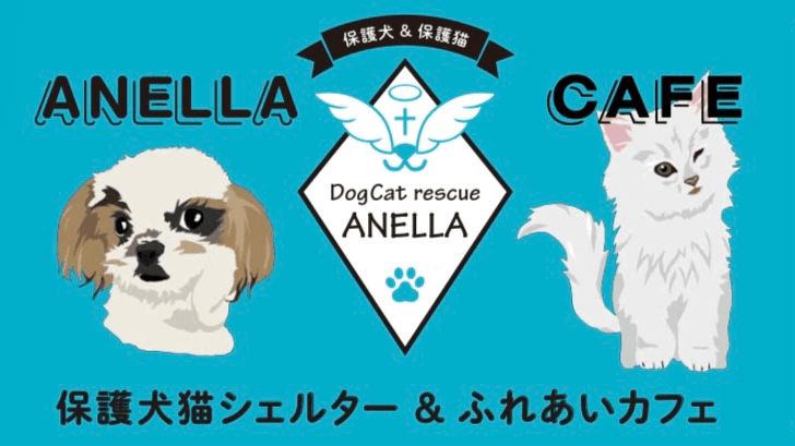 ANELLA CAFE【保護犬猫ふれあいカフェ】南流山店の写真