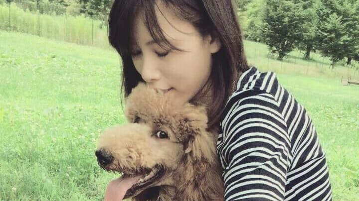 Dog Salon OHANAの写真