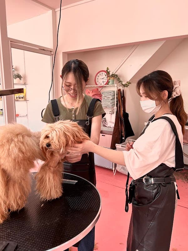 Grooming salon &Pet hotel Paw tsuruokaの写真1