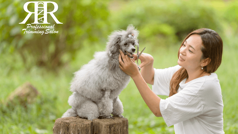 トリミングサロン ペットホテルR&Rの写真