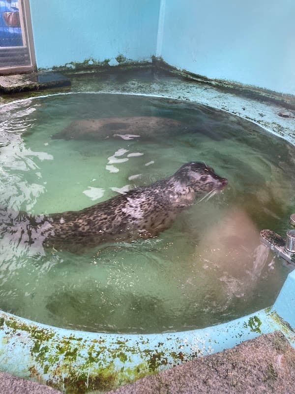 大島獣医科病院の写真