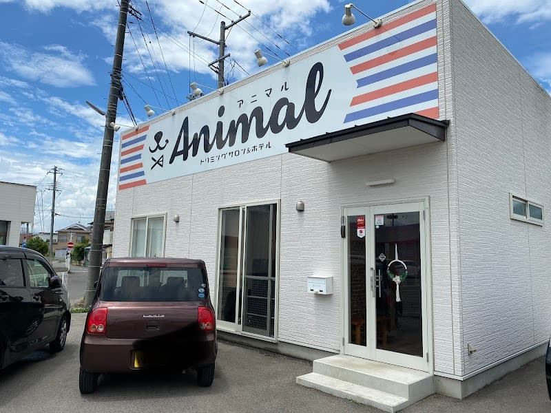 Animal(アニマル)保原店、トリミング&ホテルの写真
