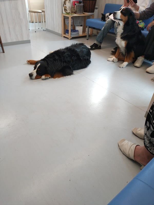 ふたば動物病院の写真