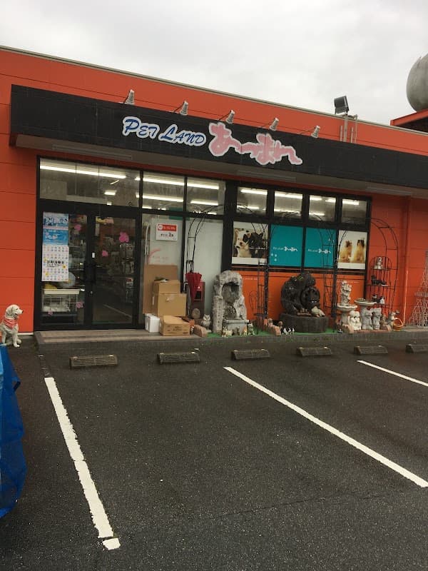 ペットランドあつまれ山口店の写真