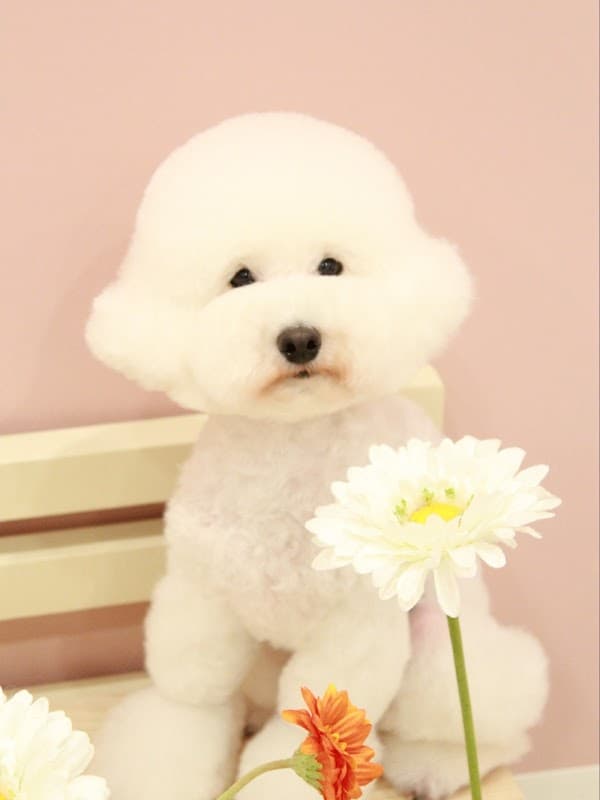 marloweの写真2