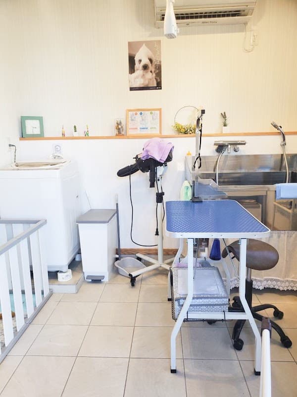 dog salon kuroNuの写真4