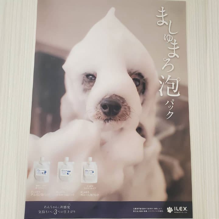 dog salon kuroNuの写真5