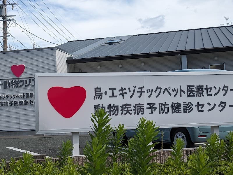 ハート動物クリニック 愛知県 豊橋小松病院 鳥・ウサギ・ハリネズミ・ハムスター・フェレットの写真