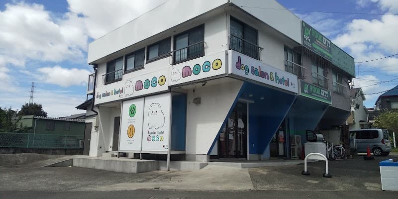 dog salon&hotel moco藤沢店の写真