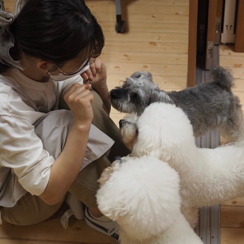 DogSpaSalonパチャママの写真