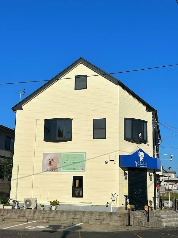 DogSpaSalonパチャママの写真4