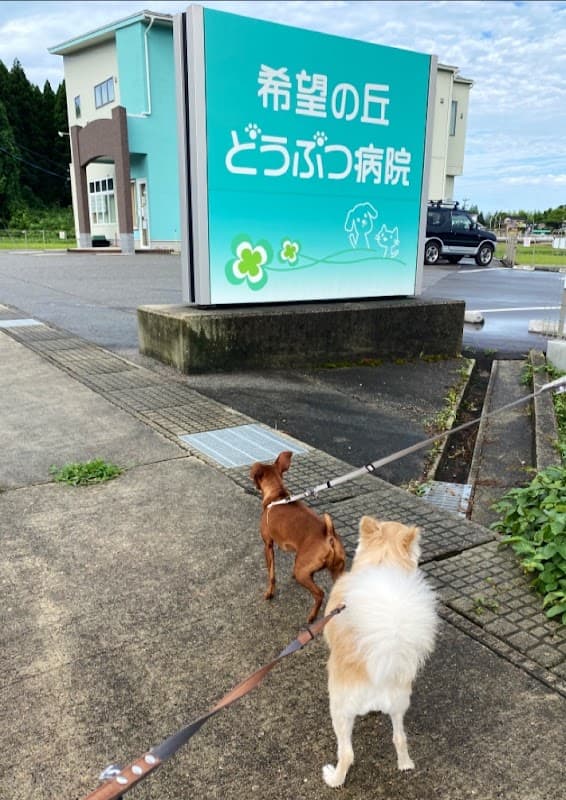 希望の丘どうぶつ病院の写真
