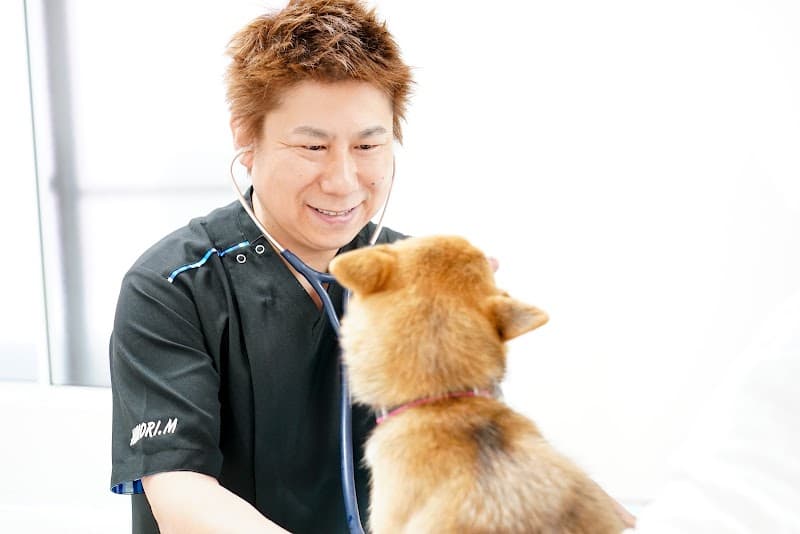 松田アニマルクリニックの写真
