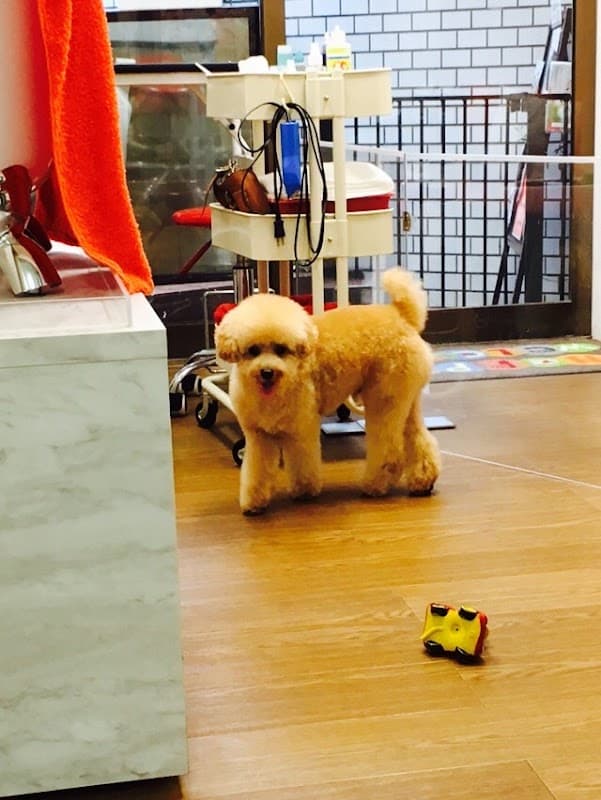 Sunny Dog Villa EBISUの写真4