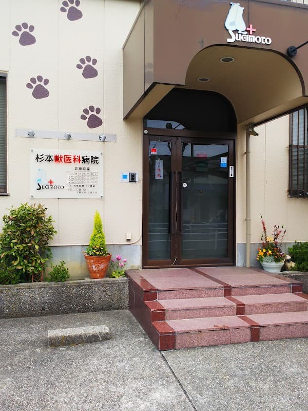杉本獣医科病院の写真