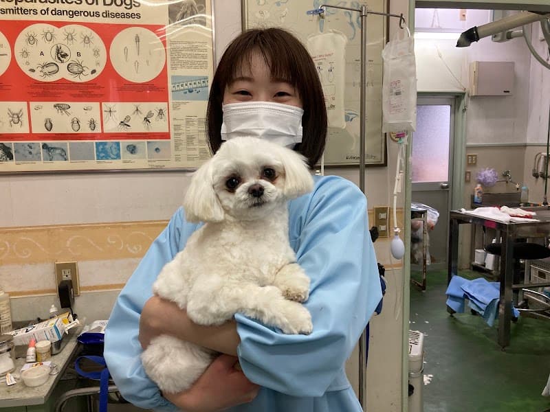 ふくしま動物病院の写真