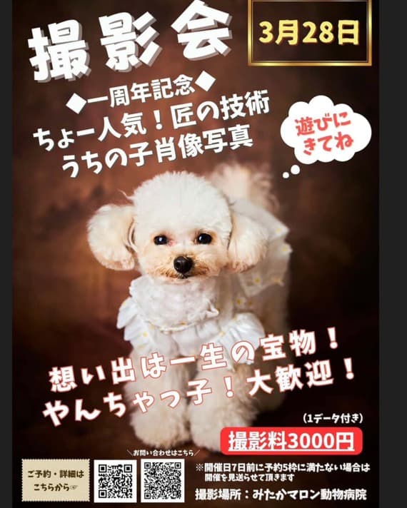 みたかマロン動物病院の写真
