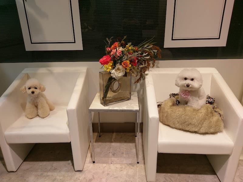 Doggie-Do 麻布十番店の写真5