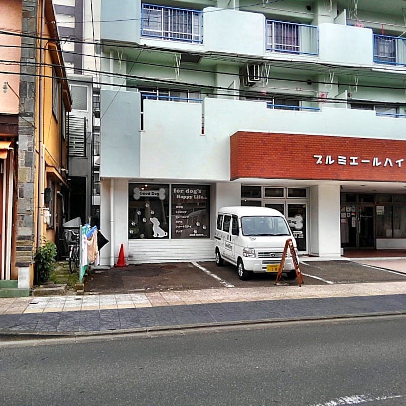 GoodDogの写真