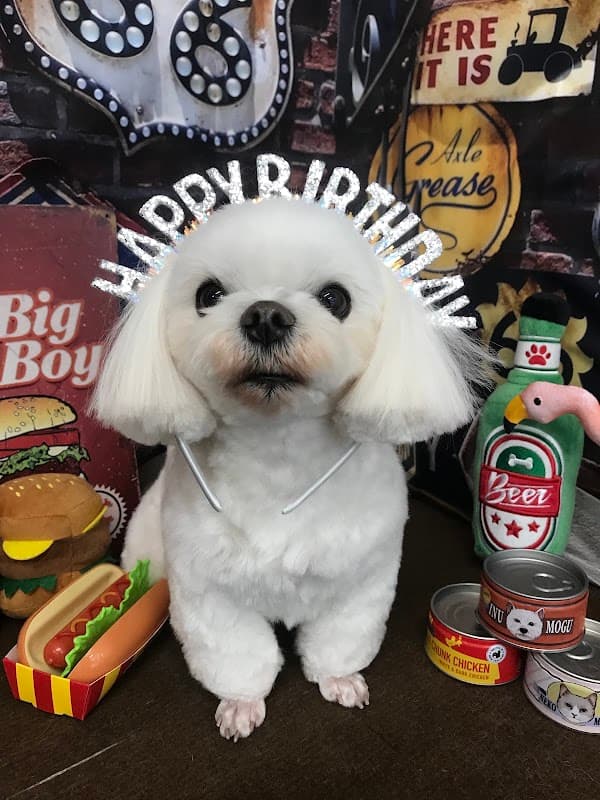 ペットサロン フランテの写真