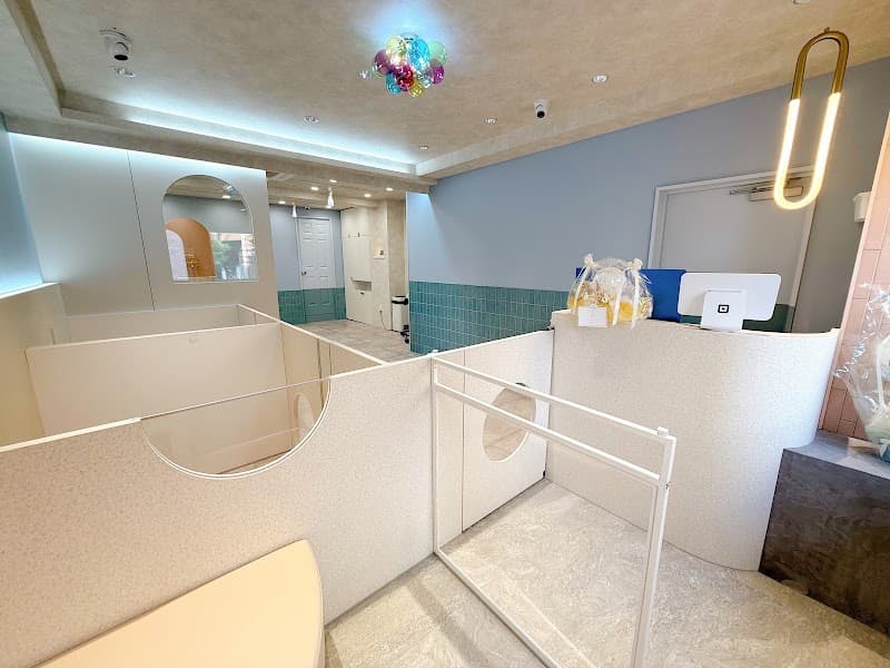 dogsalon&hotel Losangeの写真