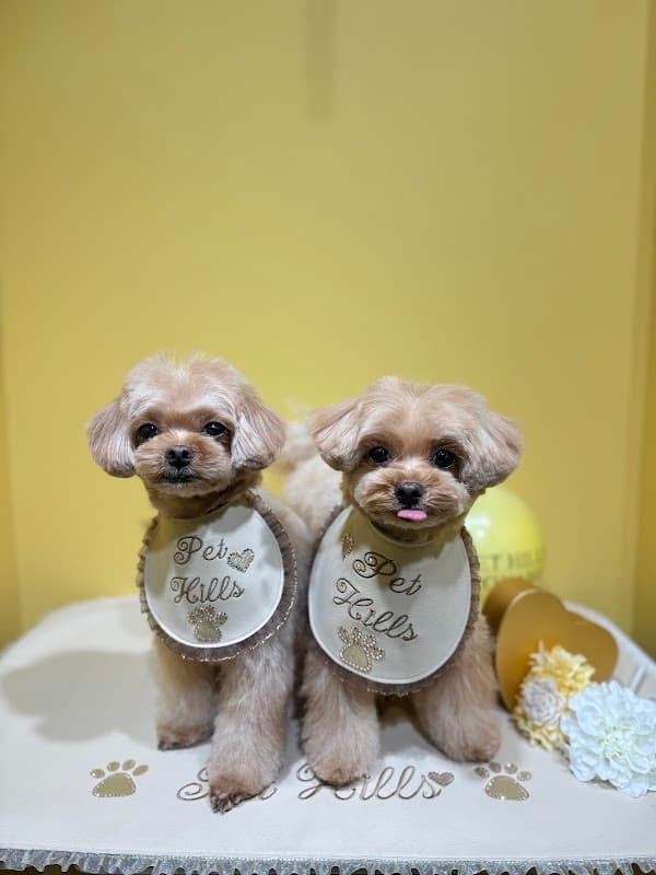 PET HILLS 青山店の写真2