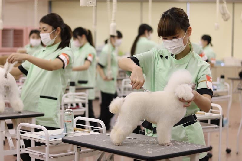 YIC京都ペット総合専門学校の写真