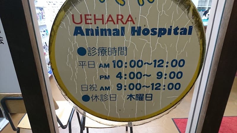 上原どうぶつ病院の写真