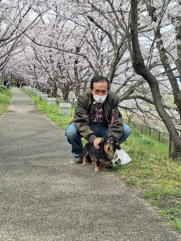 ドッグサロンハッピーCharmの写真