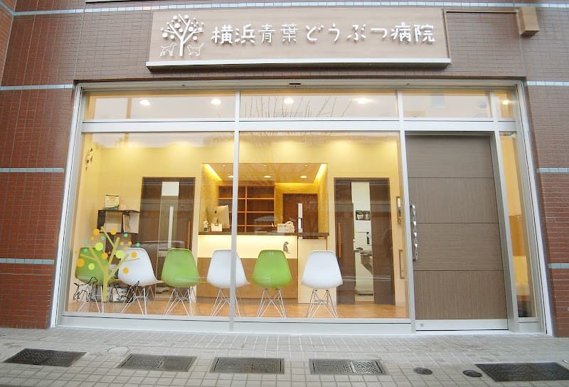 横浜青葉どうぶつ病院の写真