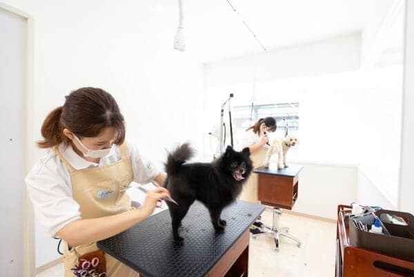 Dog Salon Welinaの写真1