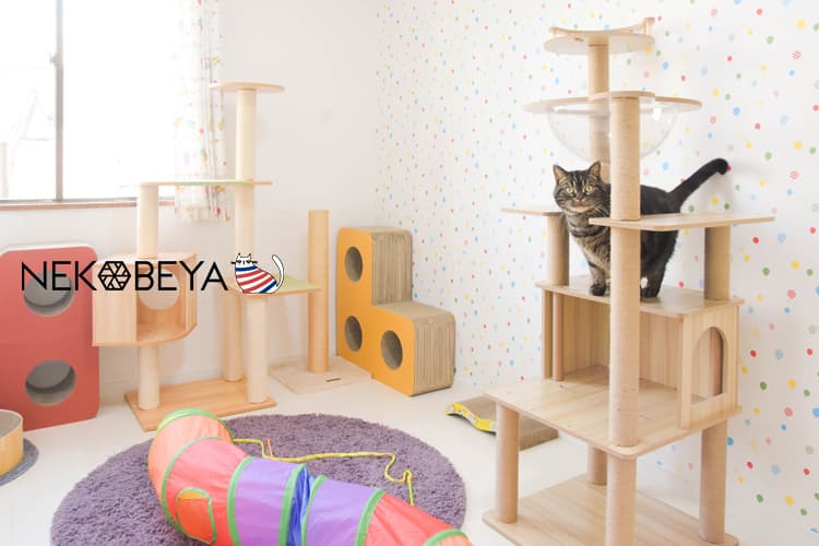 『ねこべや湘南藤沢店』猫専門の個室ペットホテルの写真