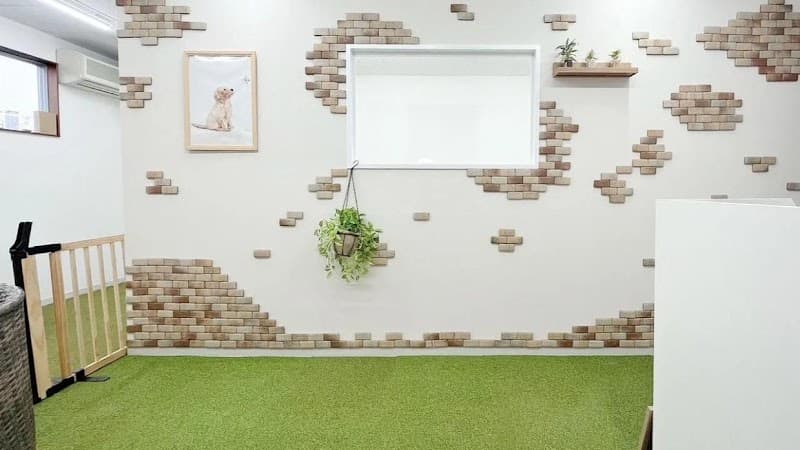 TRIMMING SALON SHANGRI-LA トリミングサロン シャングリラの写真