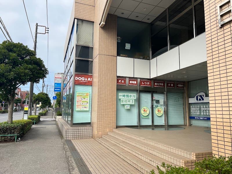 ドッグアンドアイの写真