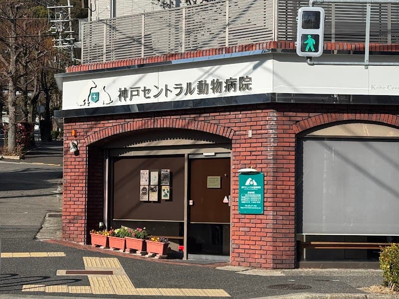 神戸セントラル動物病院の写真