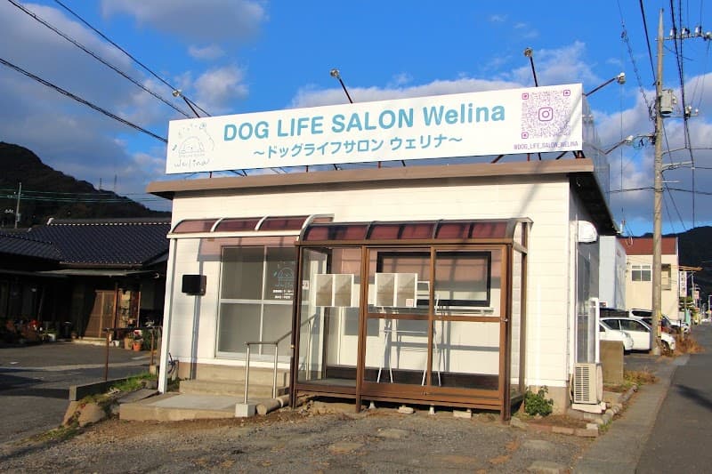 DOG LIFE SALON Welinaの写真1