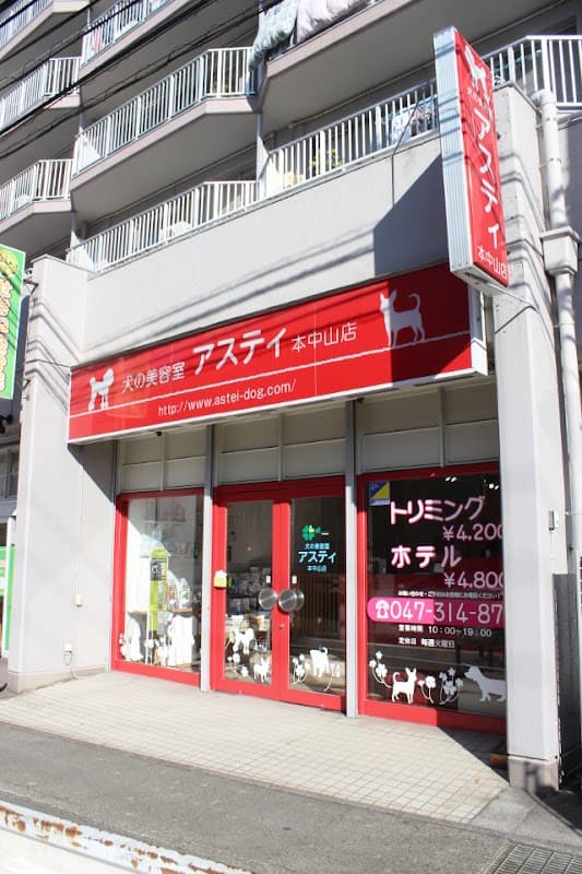 犬の美容室アスティ 本中山店の写真