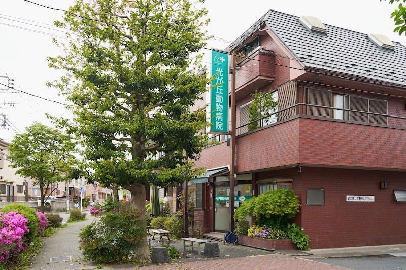 光が丘動物病院 練馬本院の写真