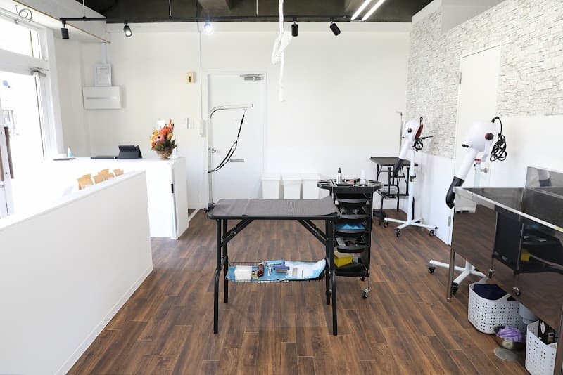 DOG SALON LAND.【ドッグサロンランドット】の写真1