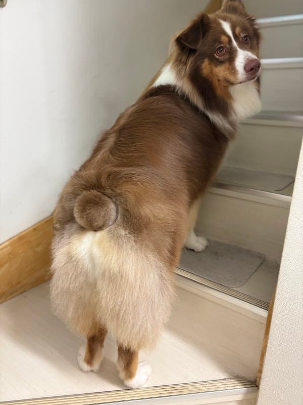 ベルジェ動物病院の写真