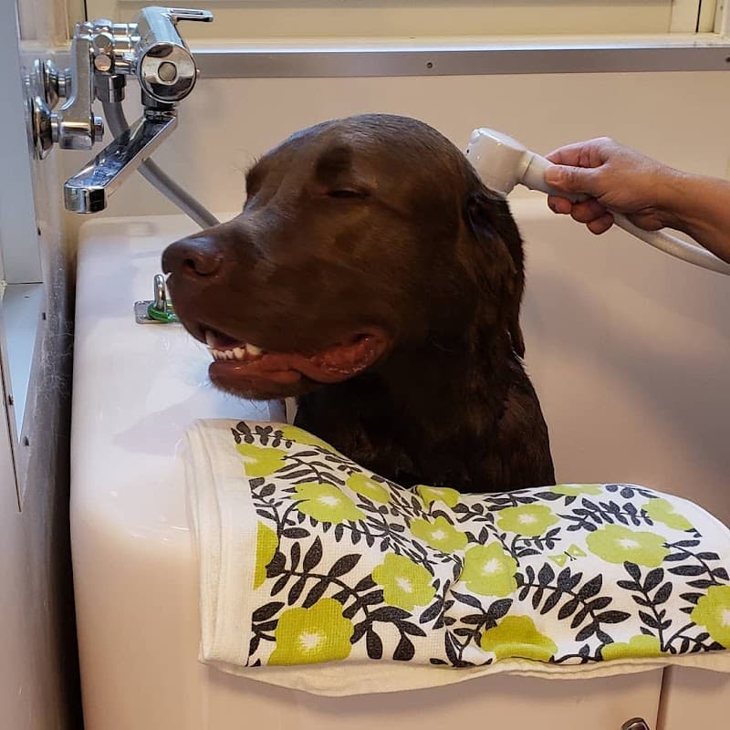 Grooming Spot Coeur et Coeurの写真