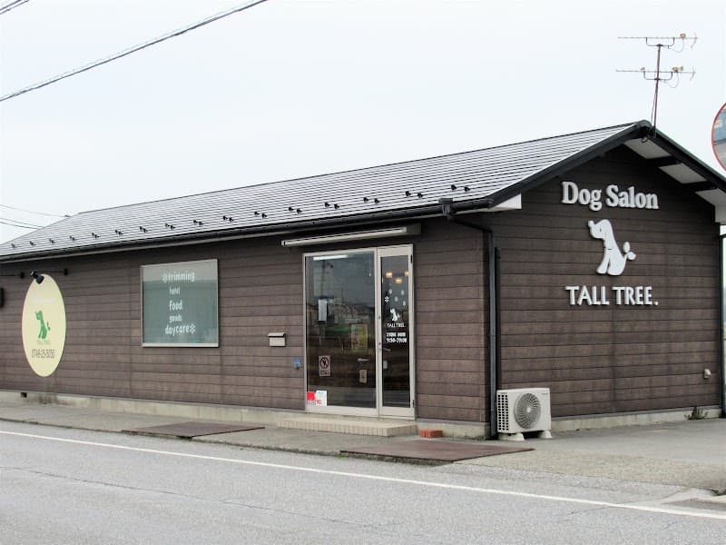 TALLTREE.の写真