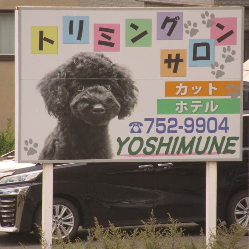 トリミングサロン よしむねの写真3