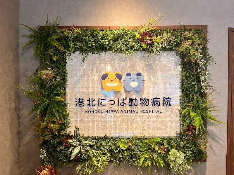 港北にっぱ動物病院の写真