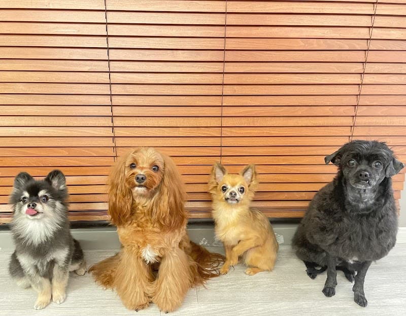 リンペット バイ クーペットプラスの写真3