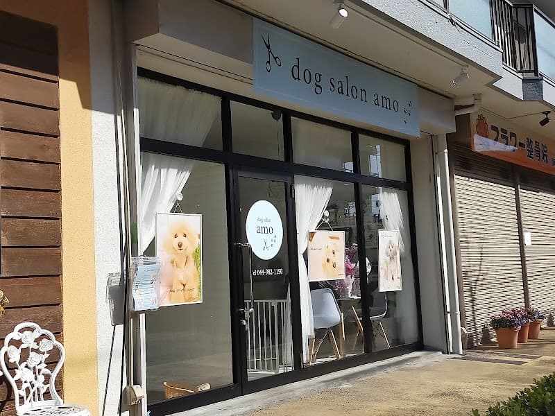 dog salon amoの写真