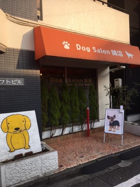 ドッグサロン鵠沼の写真